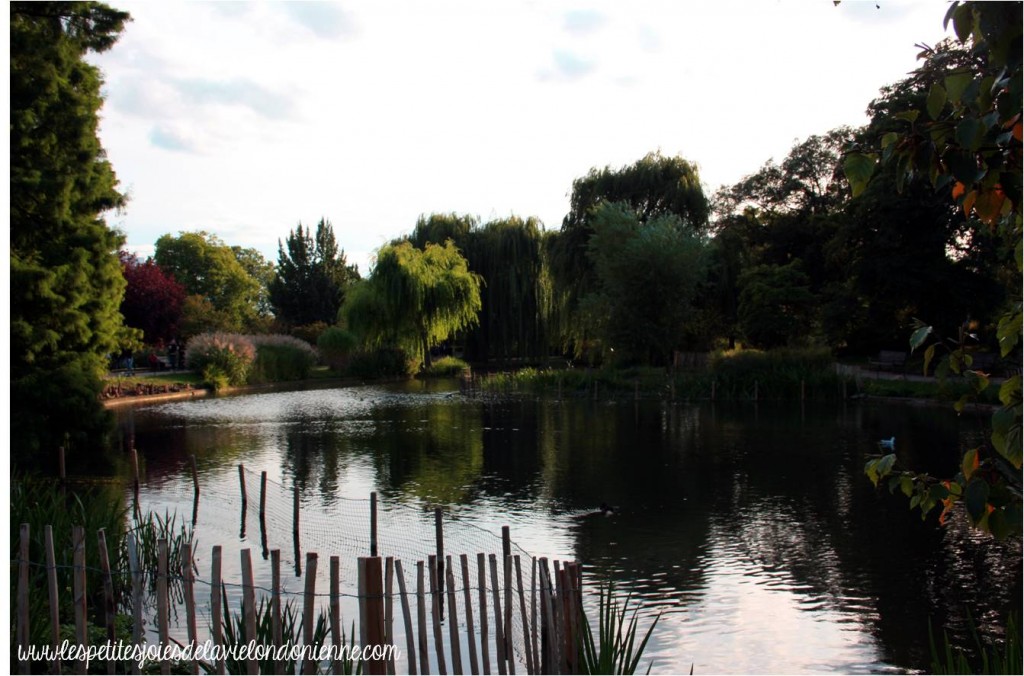 automne à Londres - Regent's Park