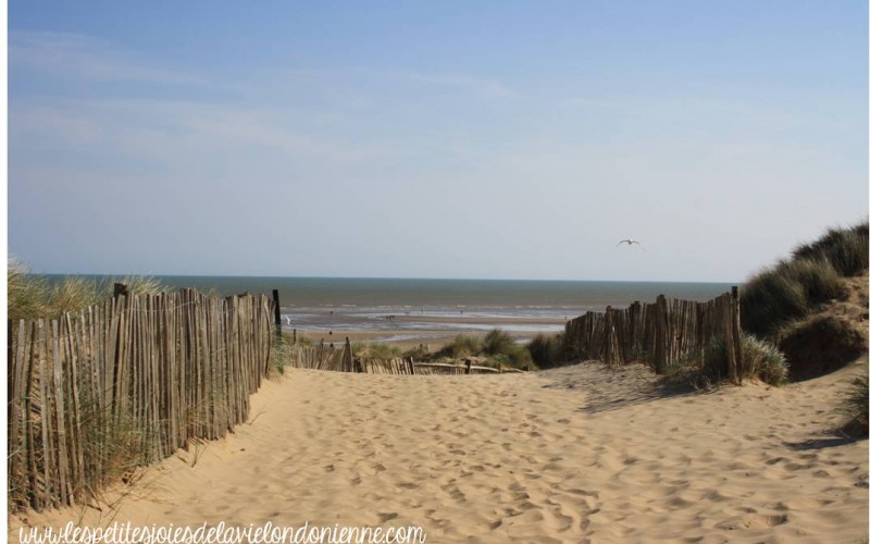 camber sands