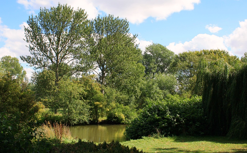 Parc Oxford uni 4