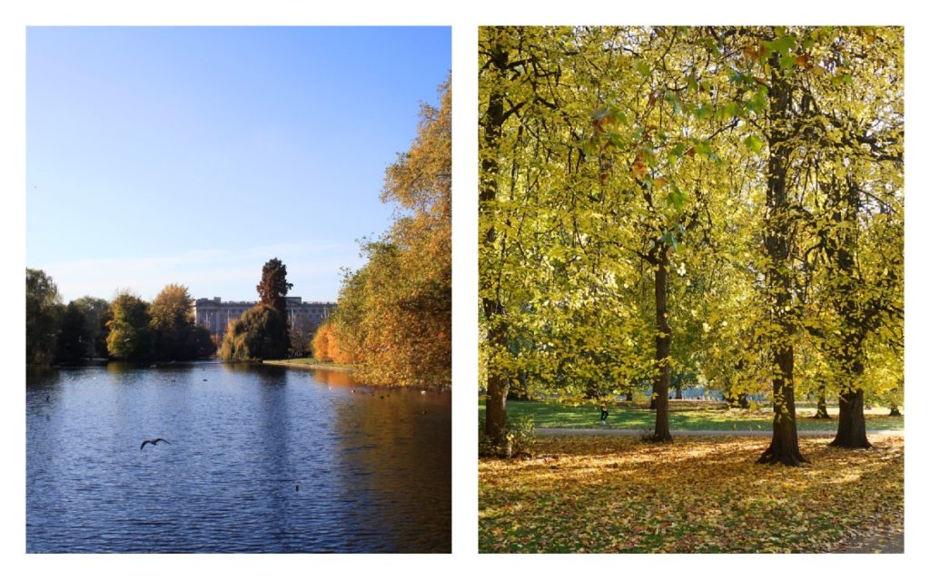 autumn-in-London