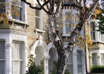 Automne-a-Londres-South Ldn Automne-a-Londres-South Ldn