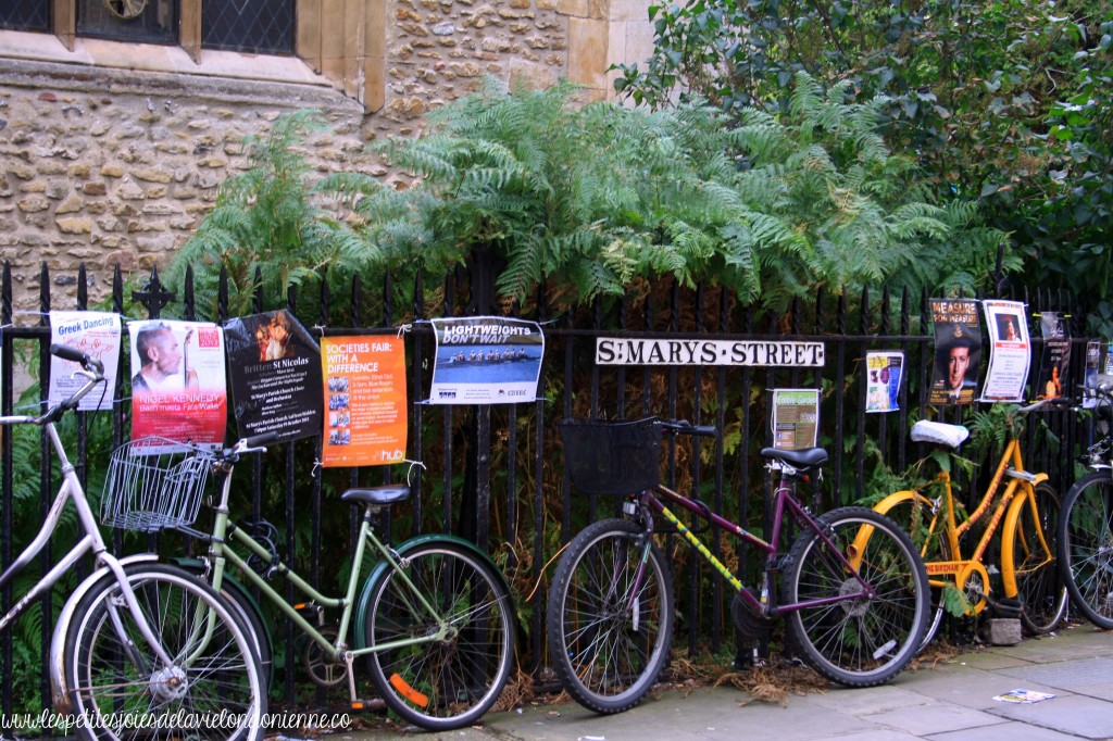 visiter Cambridge en une journée