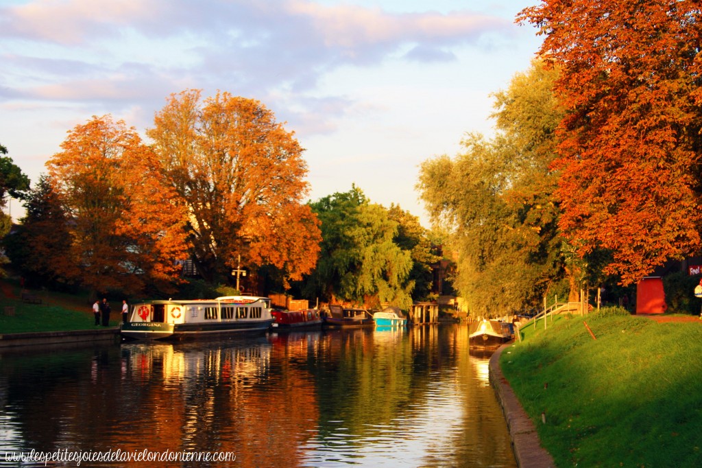 visiter Cambridge en une journée - Automne