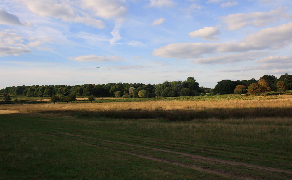 Richmond PArk 8