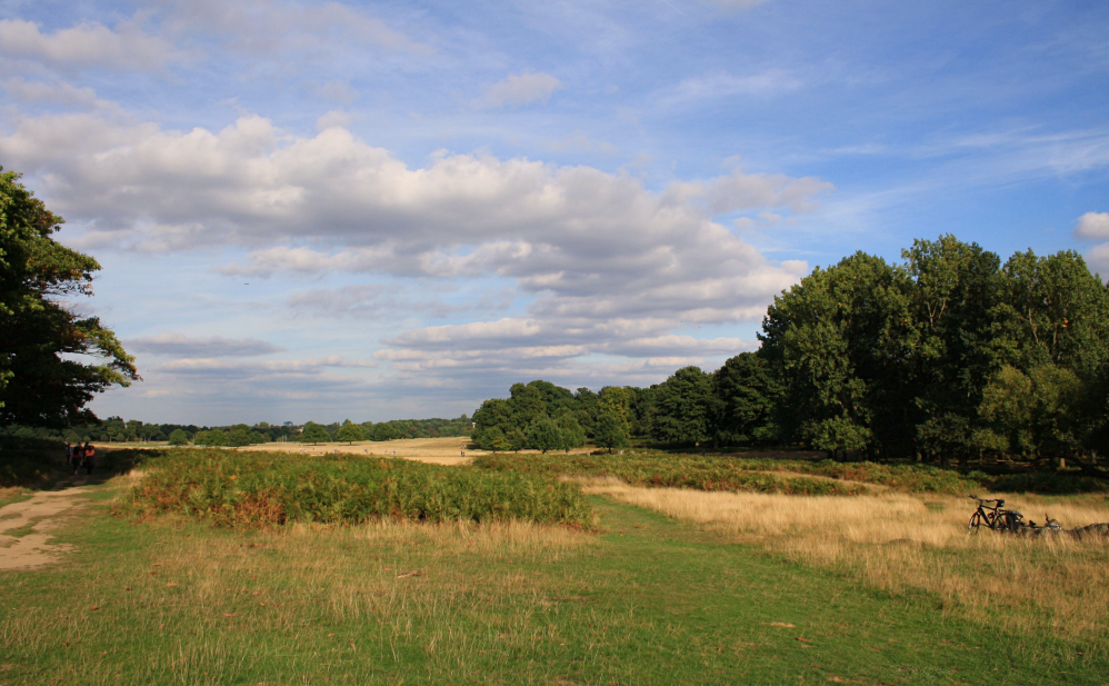 Richmond Park 2