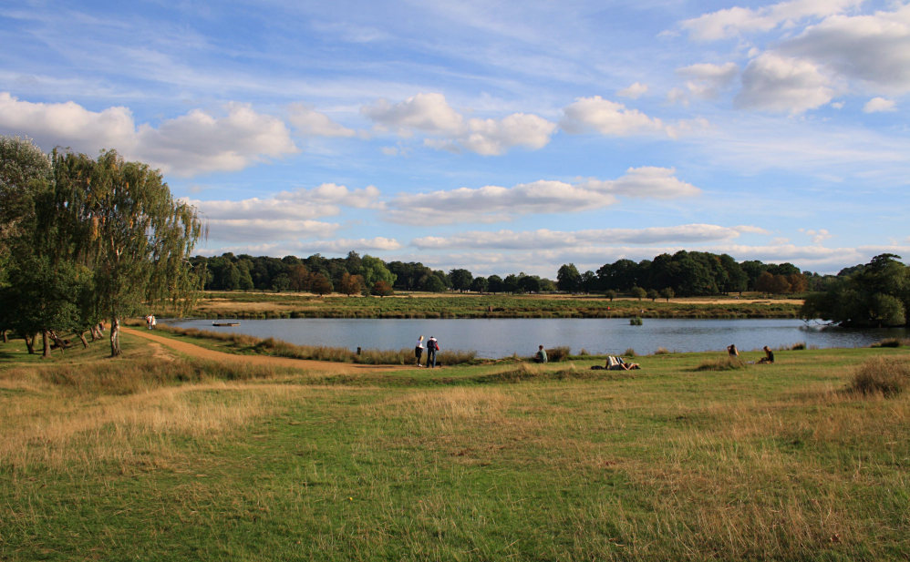 Richmond Park 3