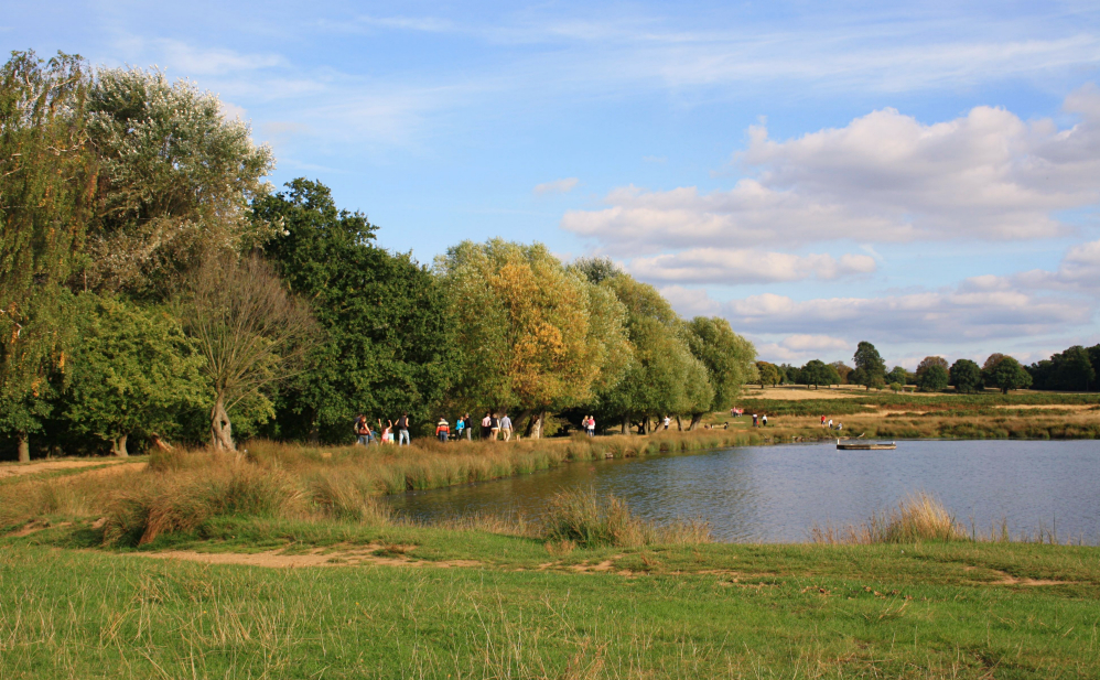 Richmond Park 4