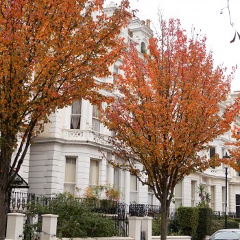 automne16-notting-hill-4