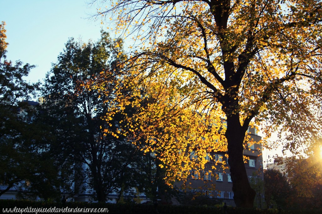 balade d'automne à Notting Hill