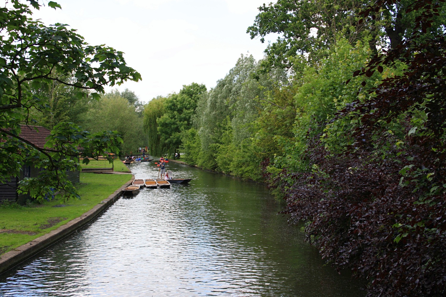 Une journée de printemps à Cambridge - Les petites joies de la vie londonienne