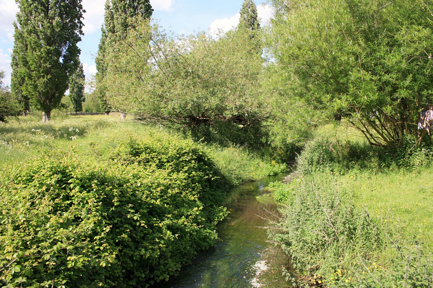 Une journée de printemps à Cambridge - Les petites joies de la vie londonienne