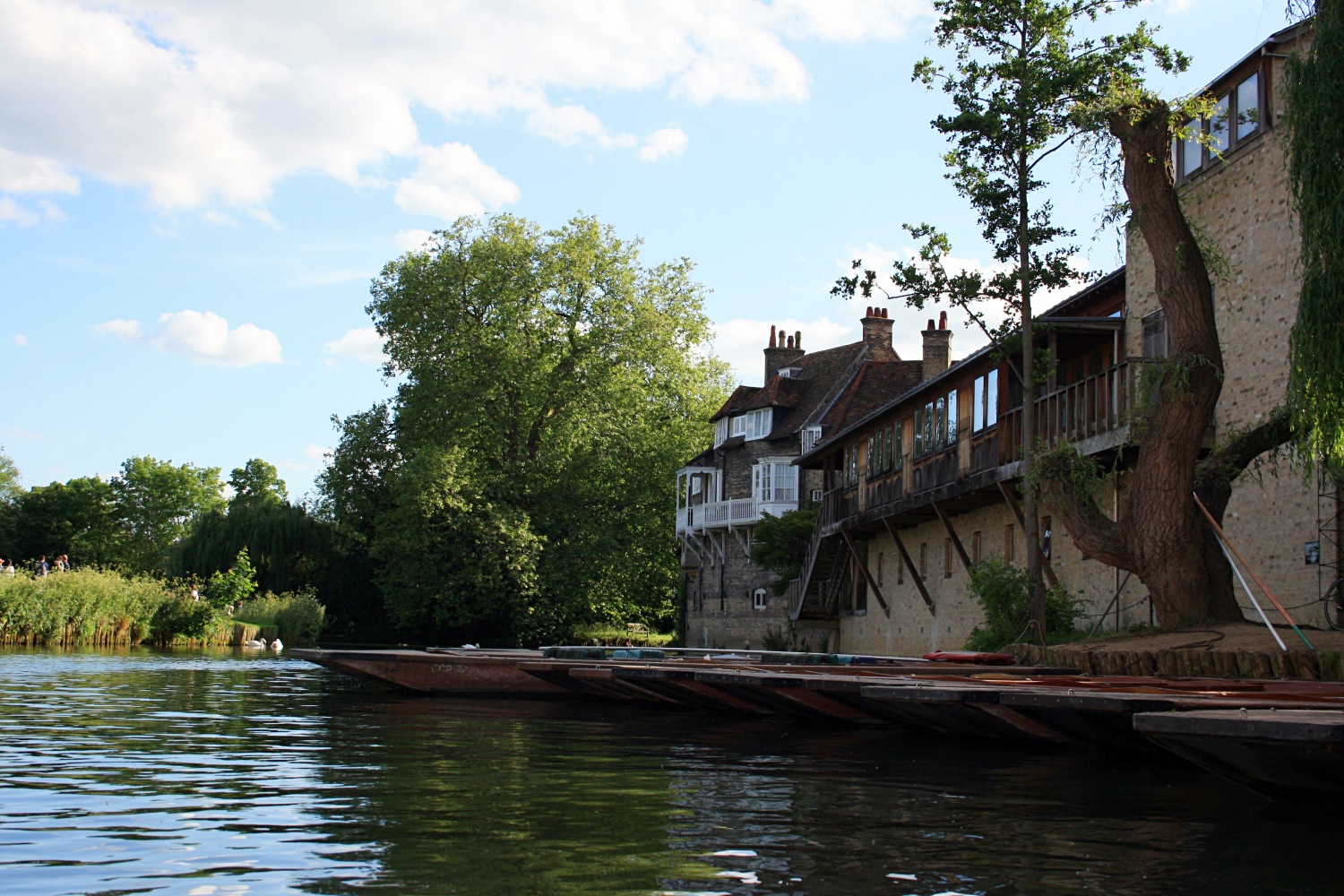 Une journée de printemps à Cambridge - Les petites joies de la vie londonienne