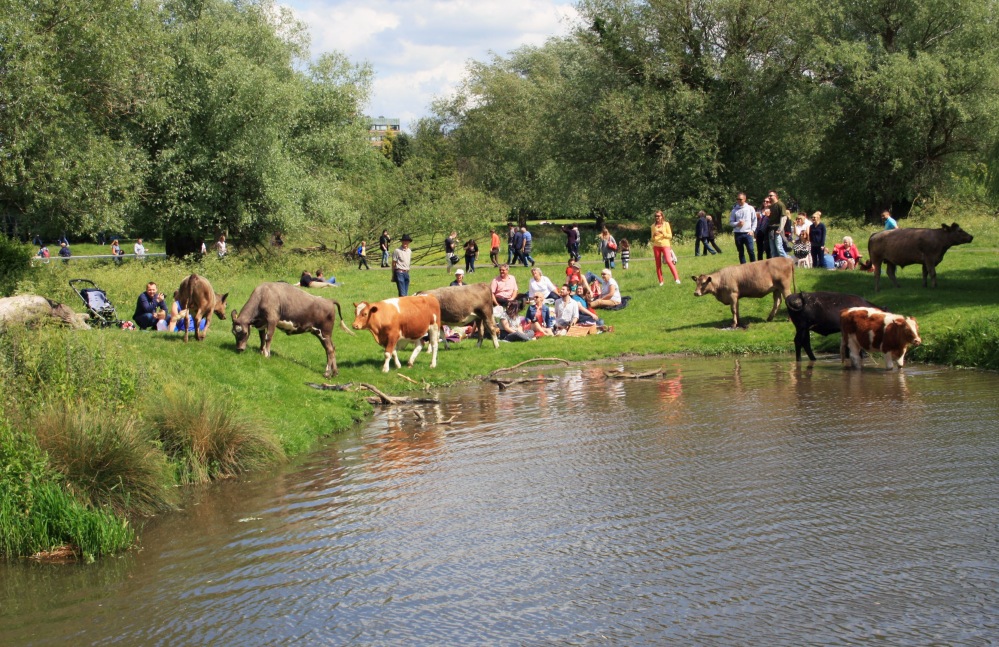 Granta view river