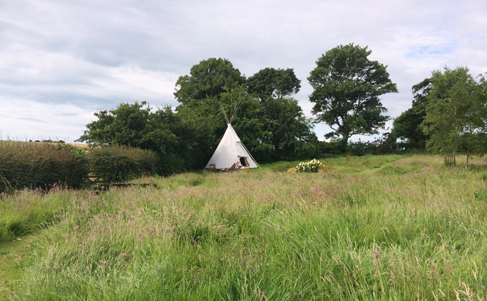 Un week-end dans la campagne Anglaise - Tipi