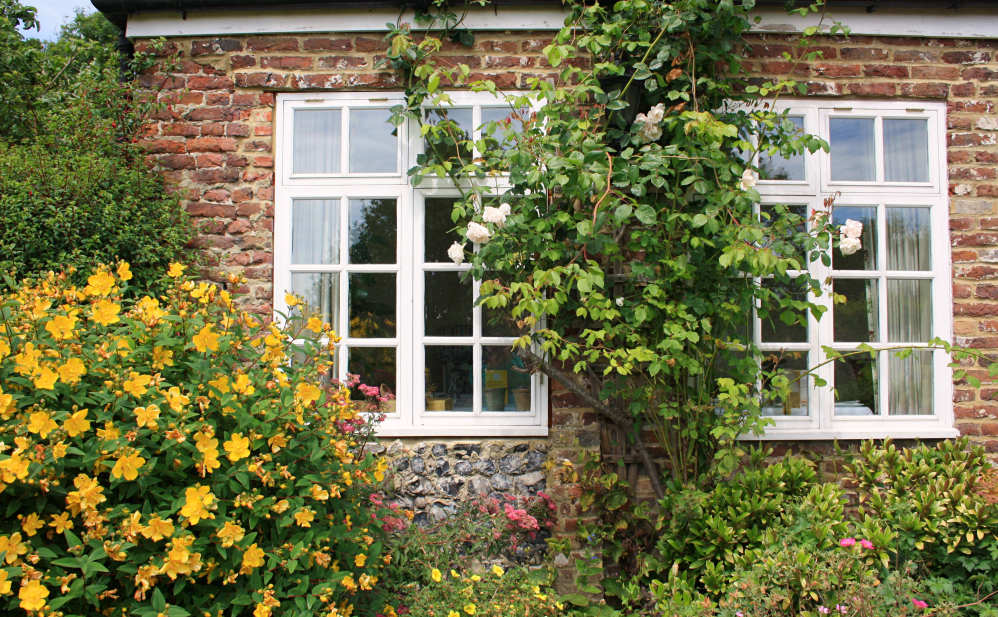 window flowers_Fotor