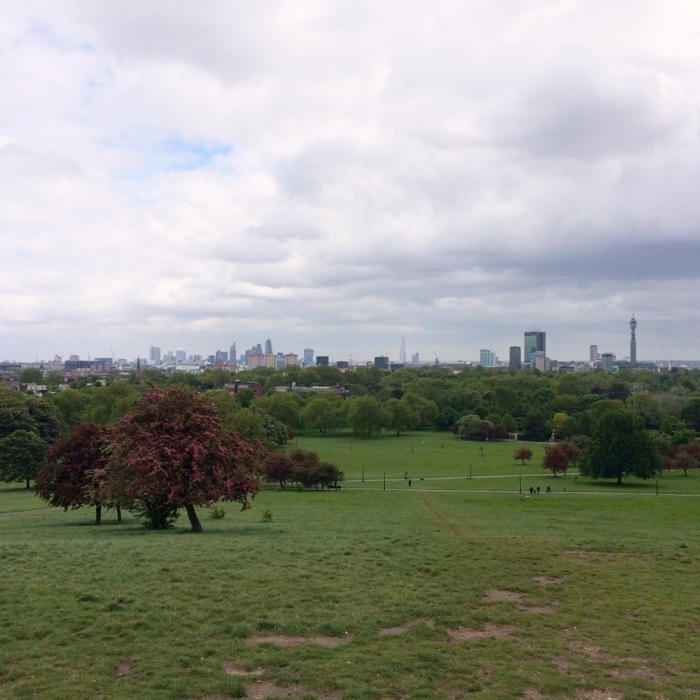 Primrose Hill_Fotor