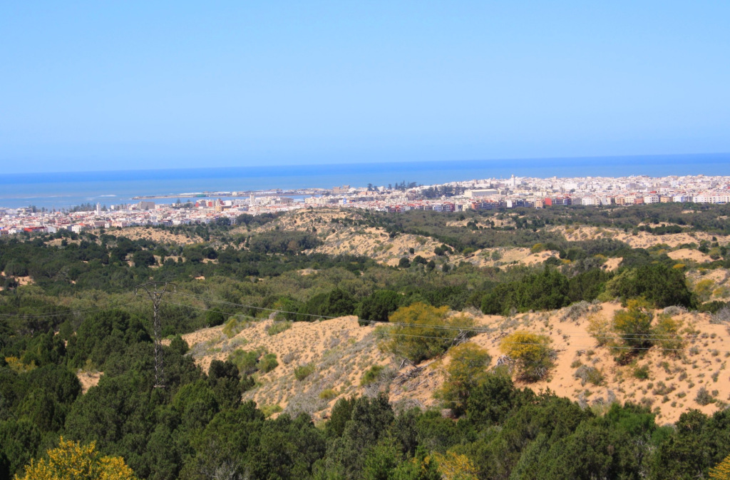 Essaouira vue