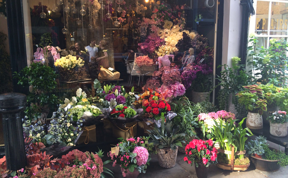 Fleuriste hampstead 2