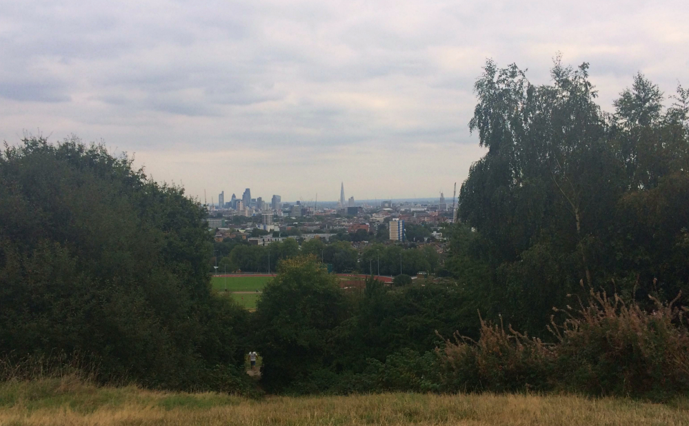 Hampstead Heath 9