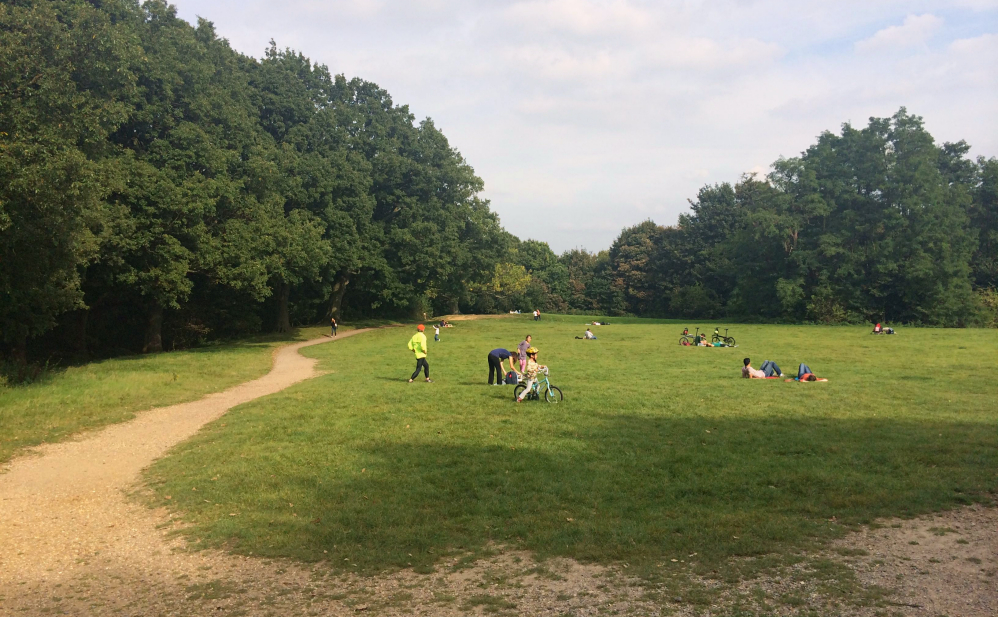 Hampstead heath 2