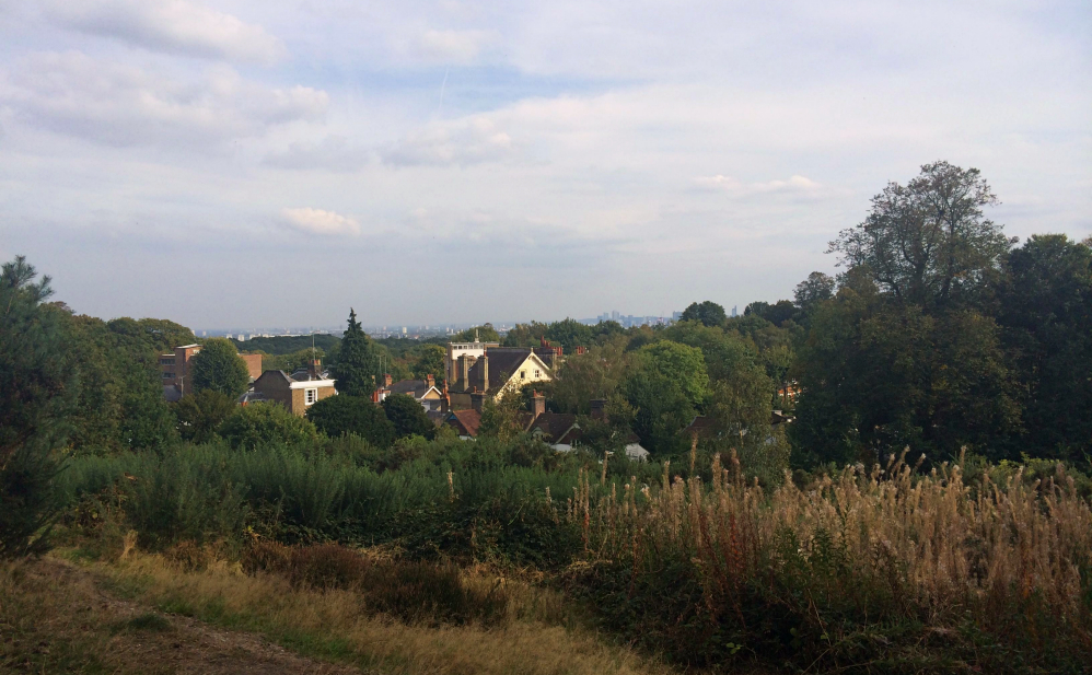 Hampstead view