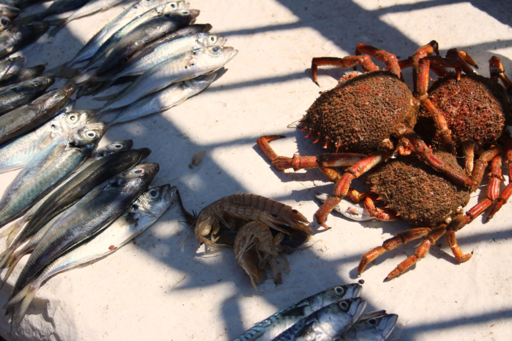 Poissons Essaouira