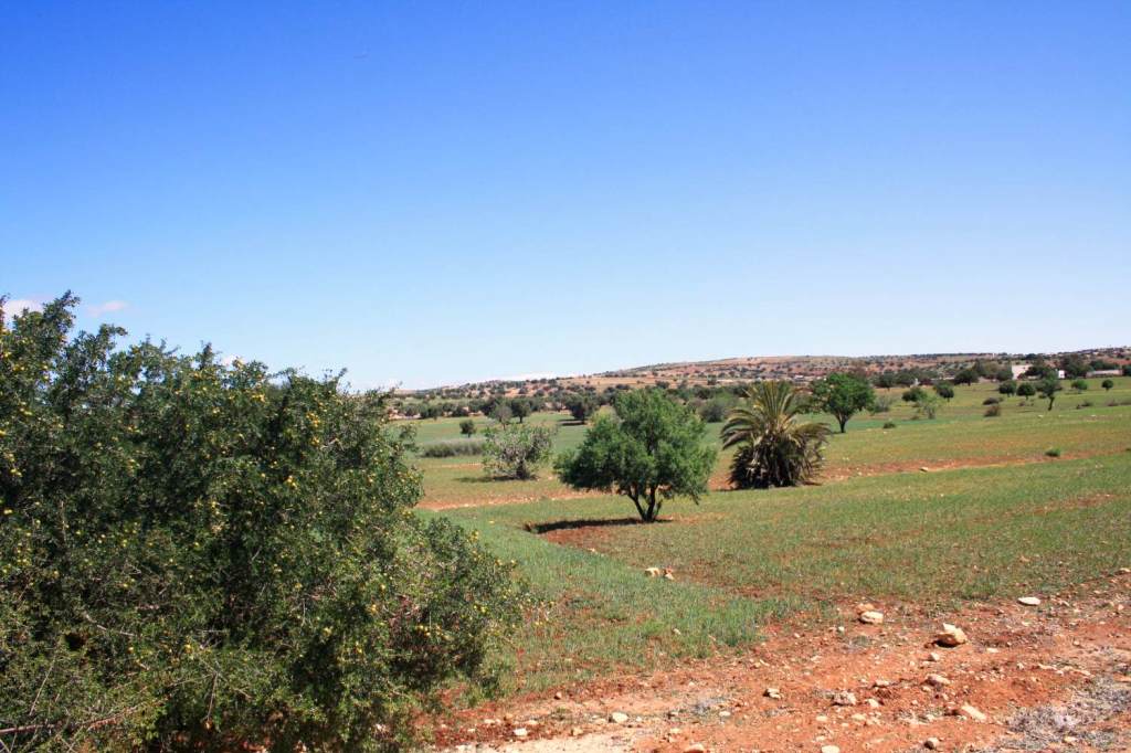 Route vers Essaouira