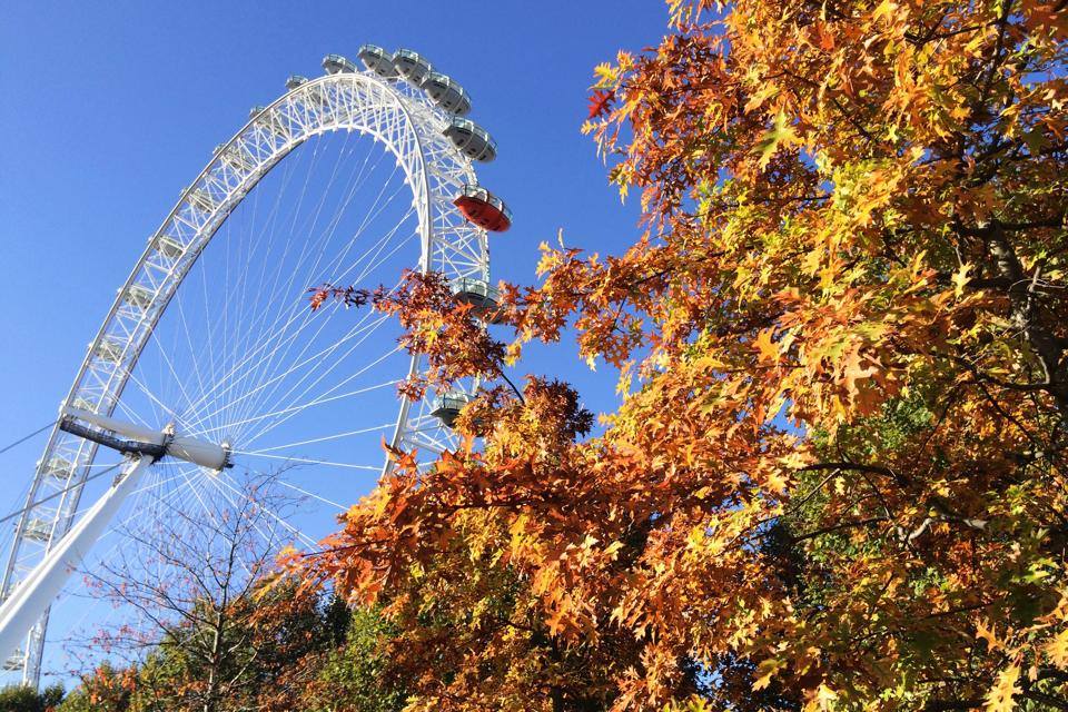 London Eye2