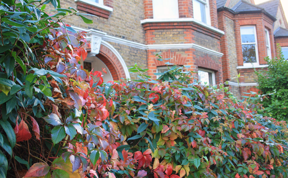 Clapham automne 2