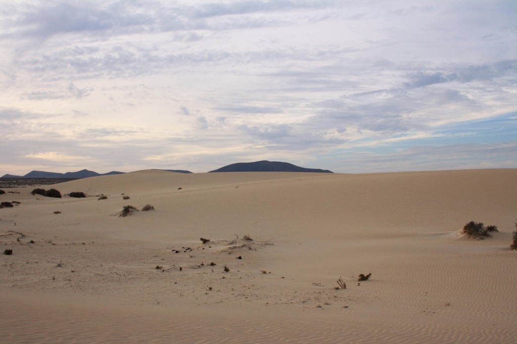 Dunes Correlajo