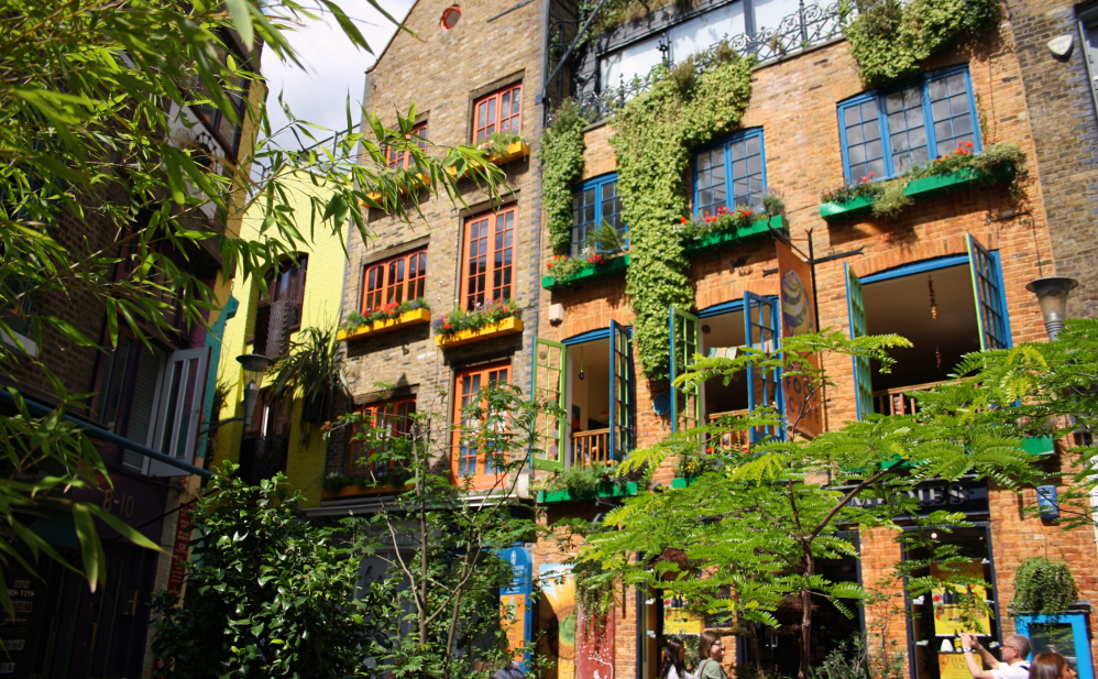 Neal's yard été