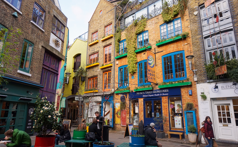 Neal's yard hiver