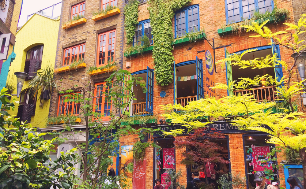 Neal's yard printemps