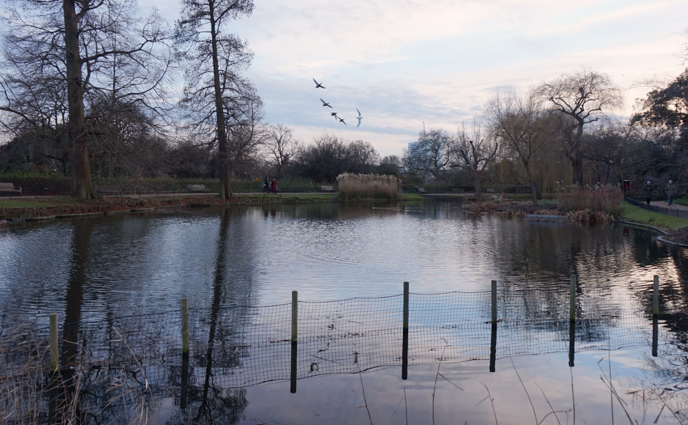 Regent's Park 3