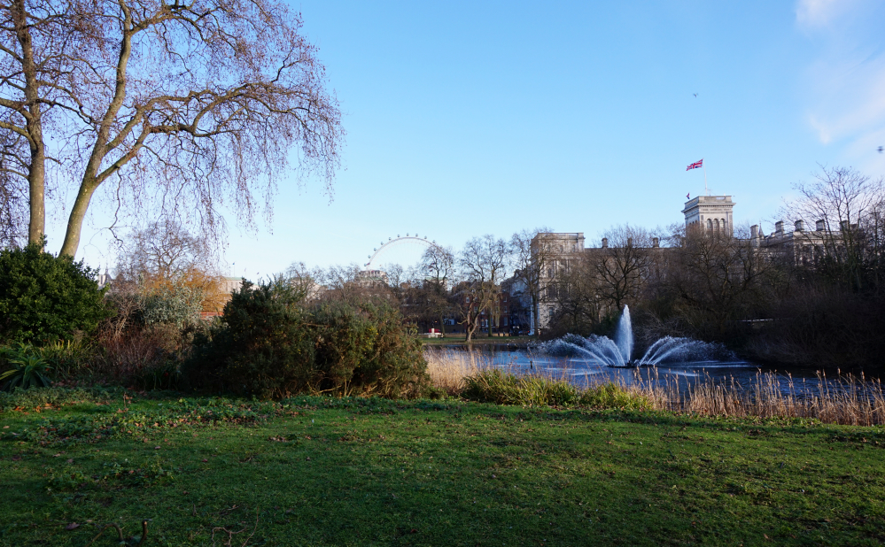 St James Park 4