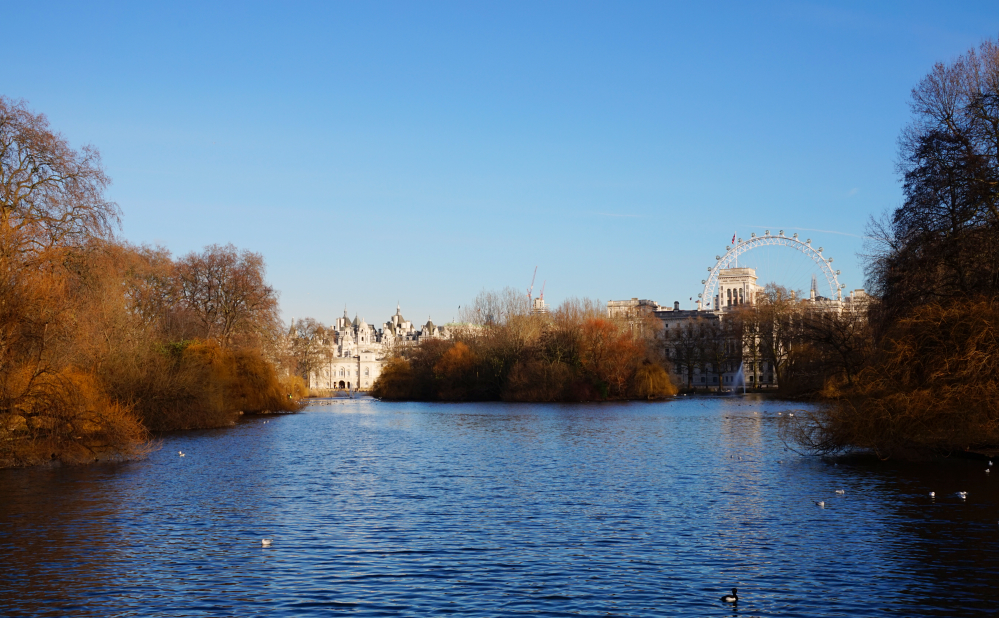 St James Park lac london eye