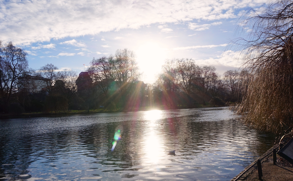 St James Park lac