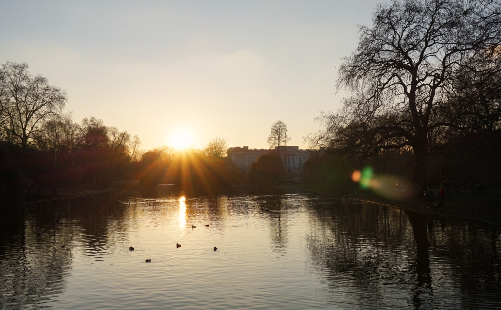 Sunset Buckingham