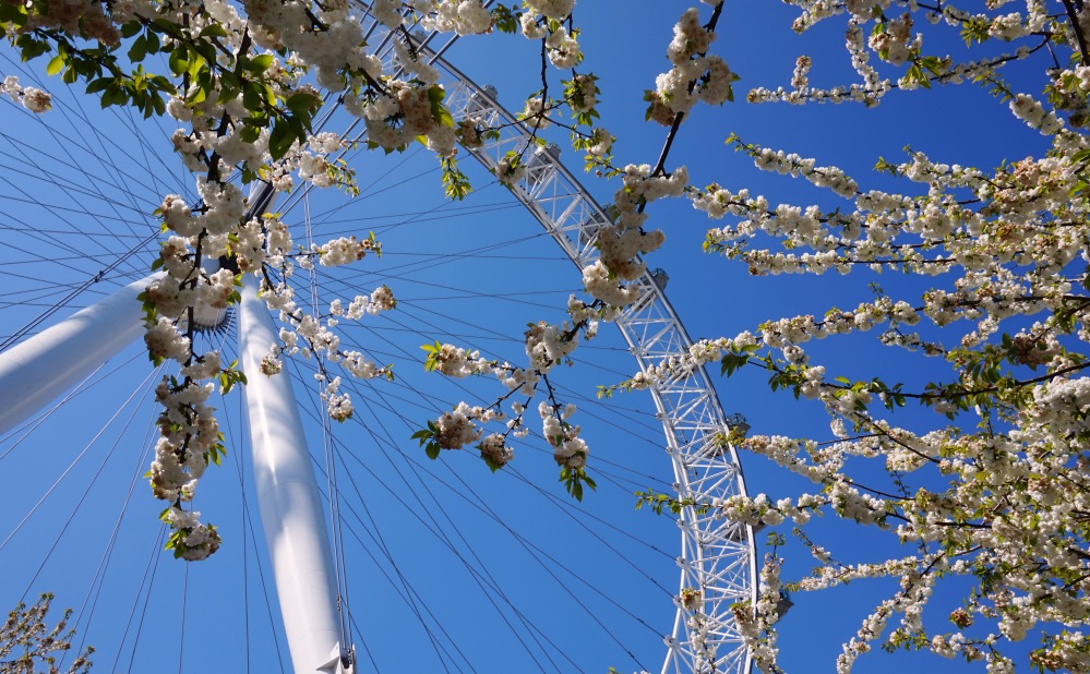 Bourgeons London Eye 1