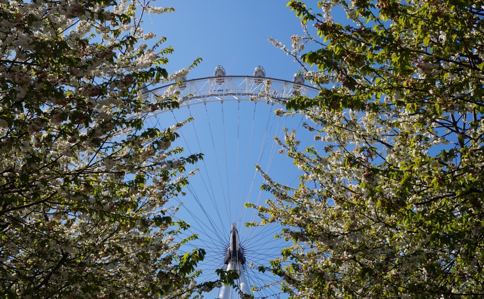 Bourgeons London Eye 2