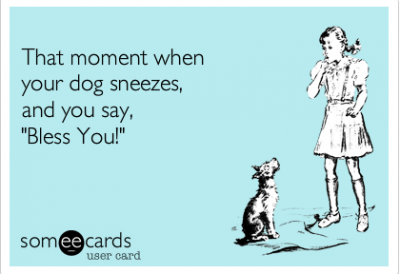 politeness politeness