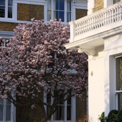 wandsworth chelsea 33 wandsworth chelsea 33