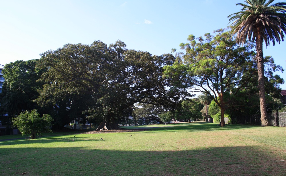 2 semaines à Sydney_Botanical Gardens 4