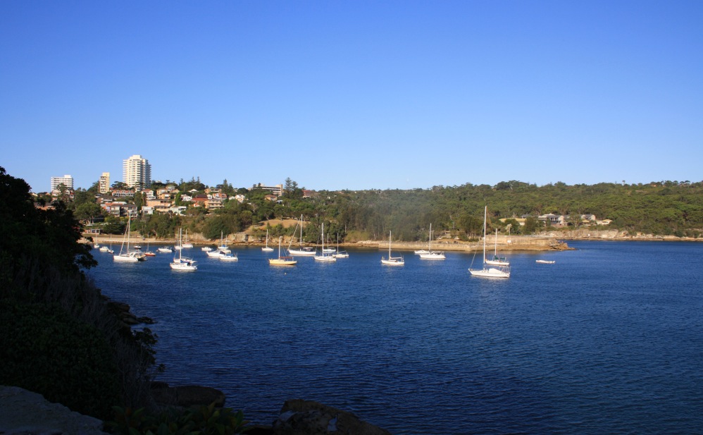 2 semaines à Sydney_Manly 4