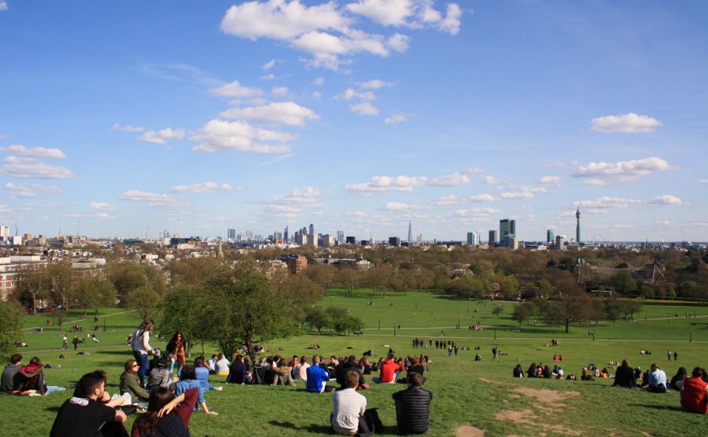 Primrose Hill 20