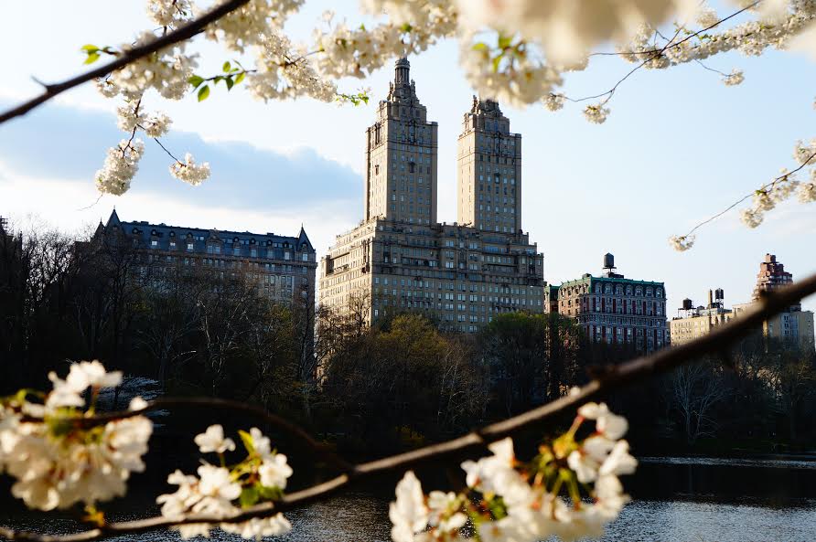 interview d'expat New York