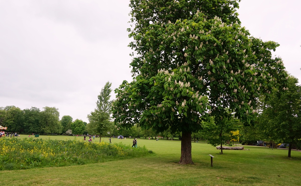 Balade Londres Kensal Rise Queen's Park 15