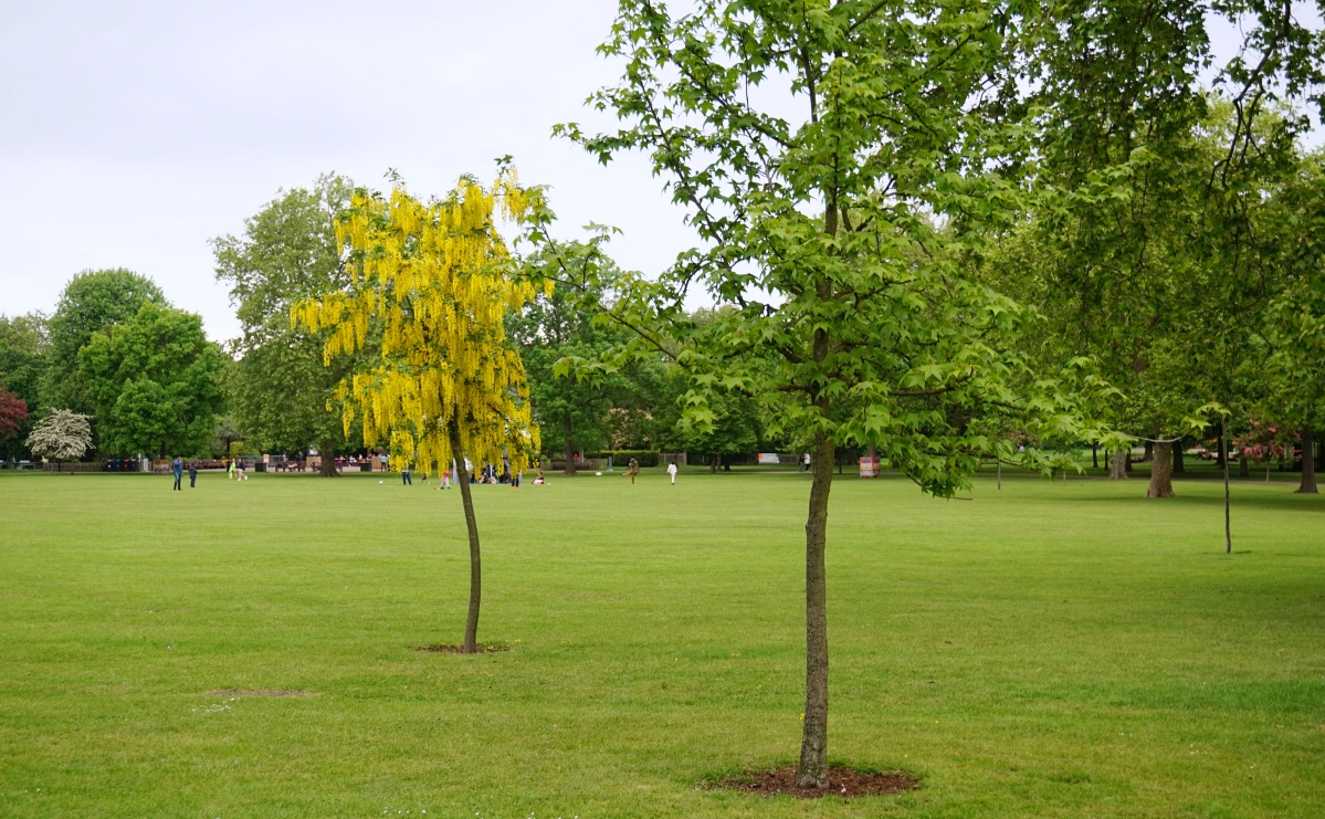 Balade Londres Kensal Rise Queen's Park 16