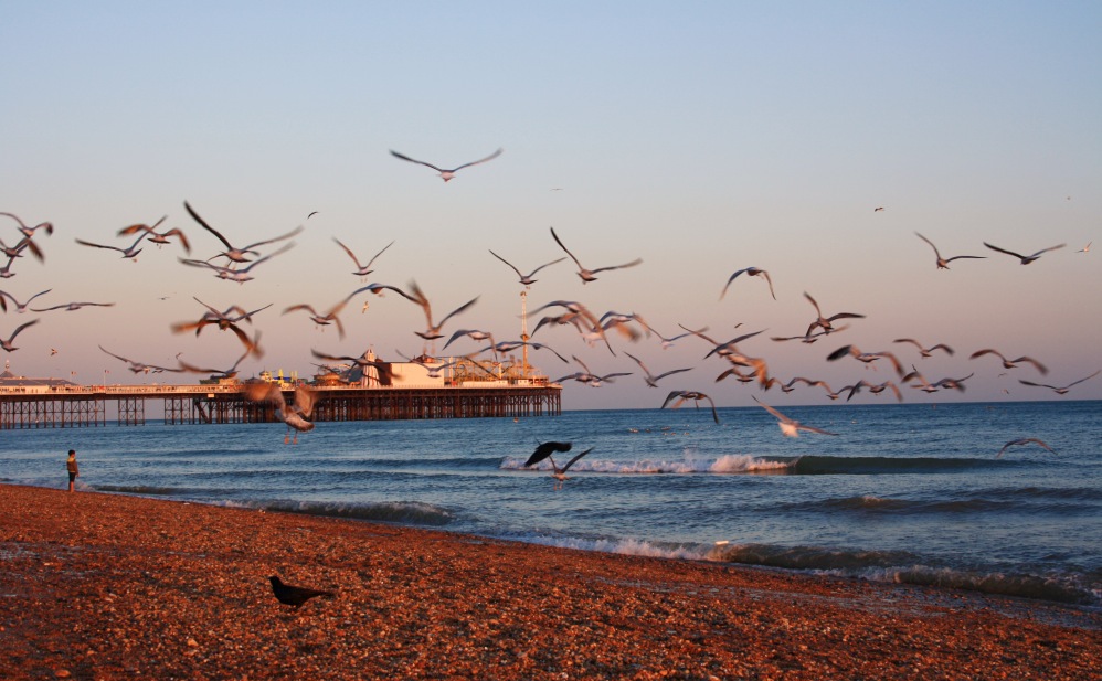 Coucher de soleil brighton 14