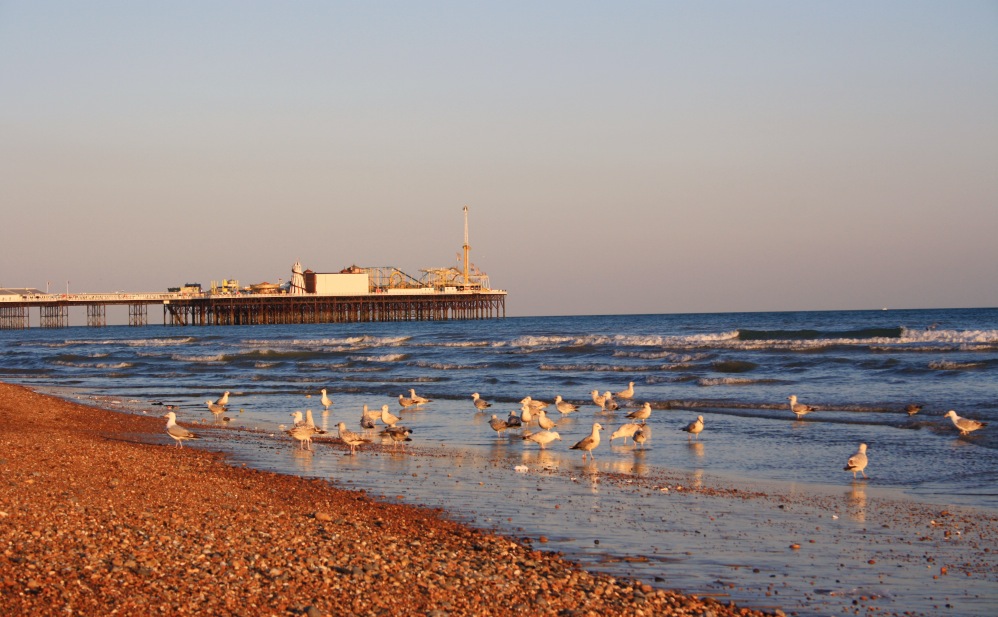 Coucher de soleil brighton 6